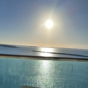 Meet your Posher, Lucy